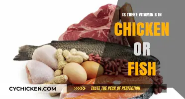 Vitamin B in Chicken or Fish: Which is the Better Source?
