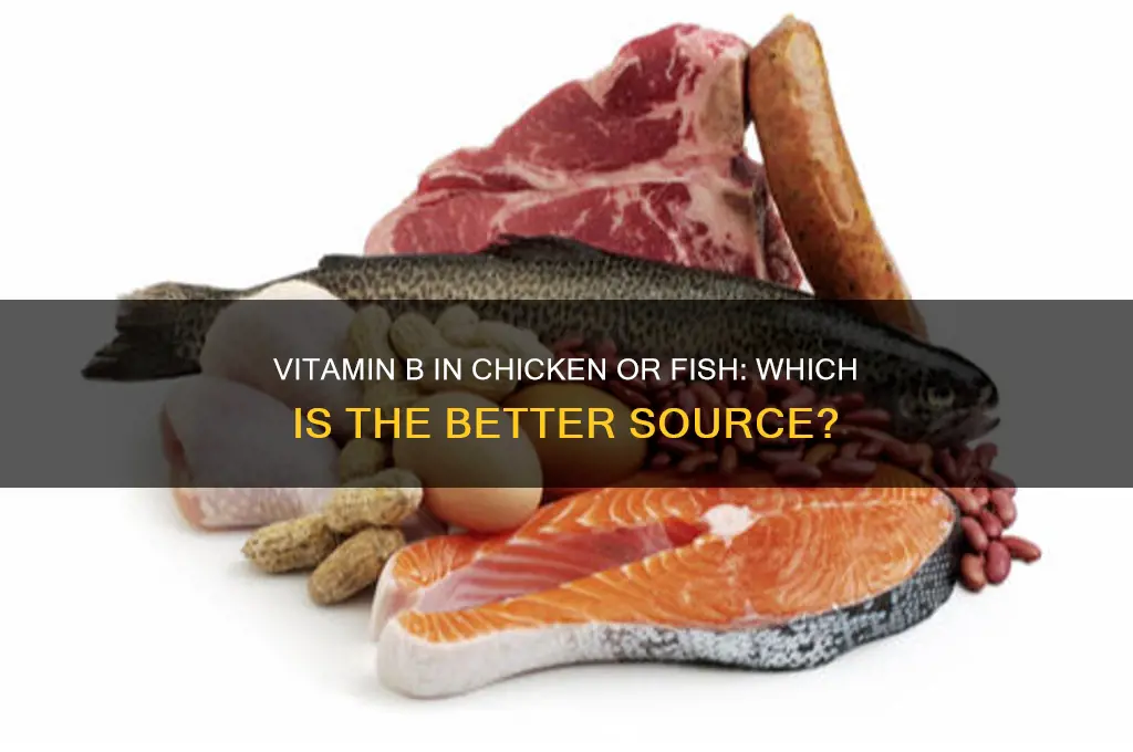 is there vitamin b in chicken or fish
