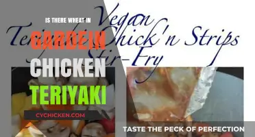 Does Gardein Chicken Teriyaki Contain Wheat? Ingredients Explained