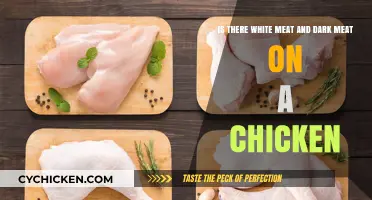 Chicken Meat: White and Dark Explained