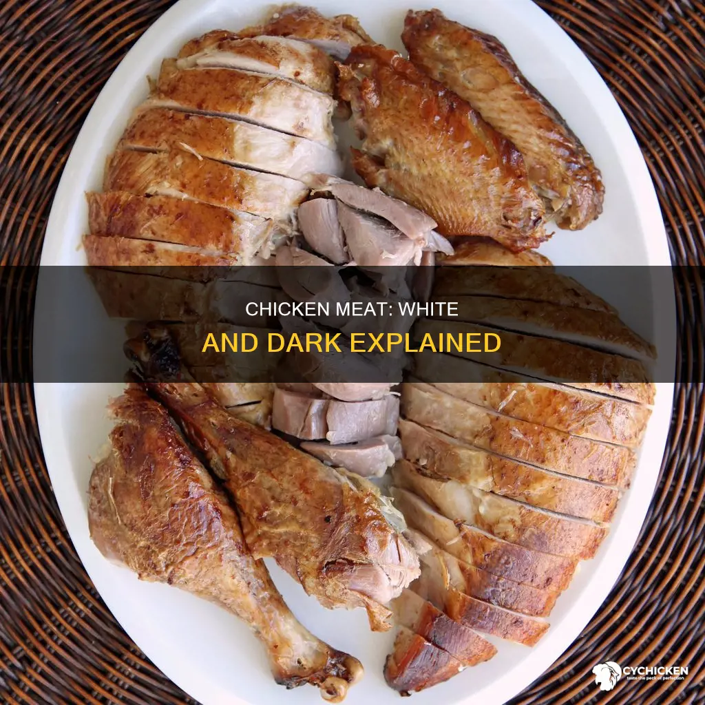 is there white meat and dark meat on a chicken