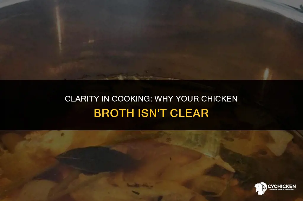 is this chicken broth not clear