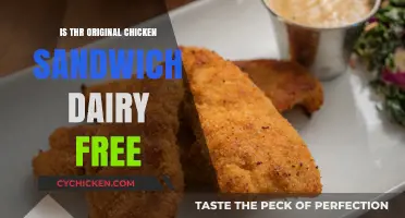 Is the Original Chicken Sandwich Dairy-Free? A Complete Guide