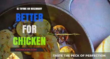 Thyme vs. Rosemary: Which Herb Elevates Your Chicken Dish Best?