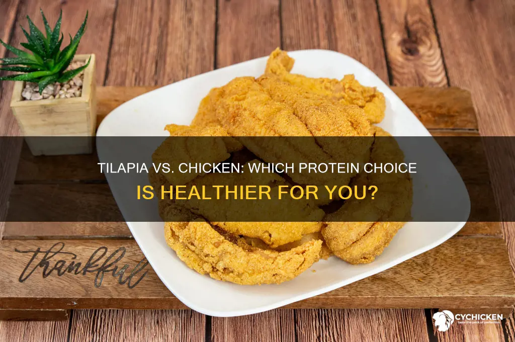 is tilapia better for you than chicken