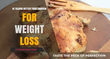 Tilapia vs. Chicken: Which Protein Boosts Weight Loss Better?