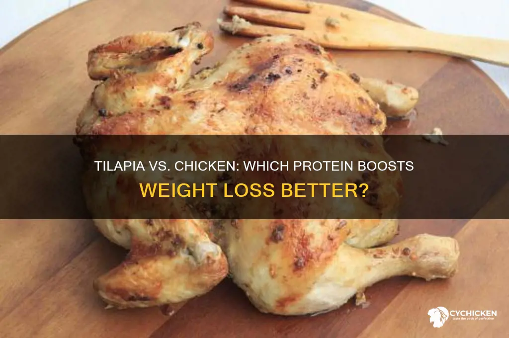 is tilapia better than chicken for weight loss