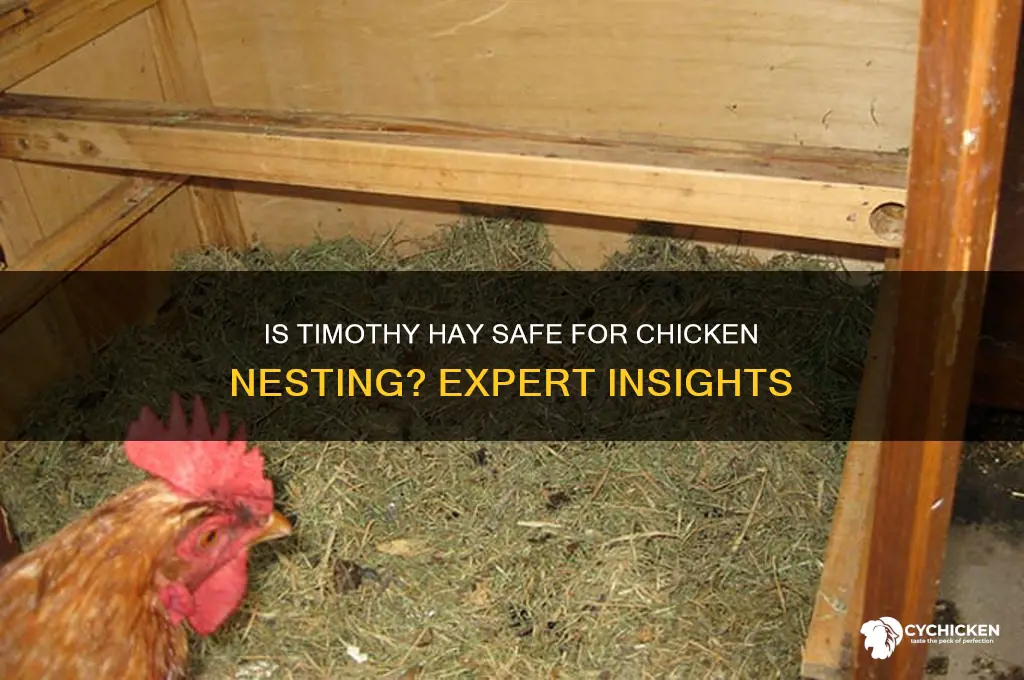 is timothy hay okay for chicken nesting