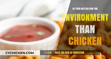 Tofu vs. Chicken: Which is the Eco-Friendlier Protein Choice?