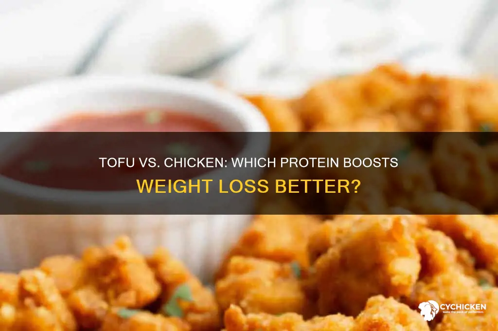is tofu or chicken better for weight loss