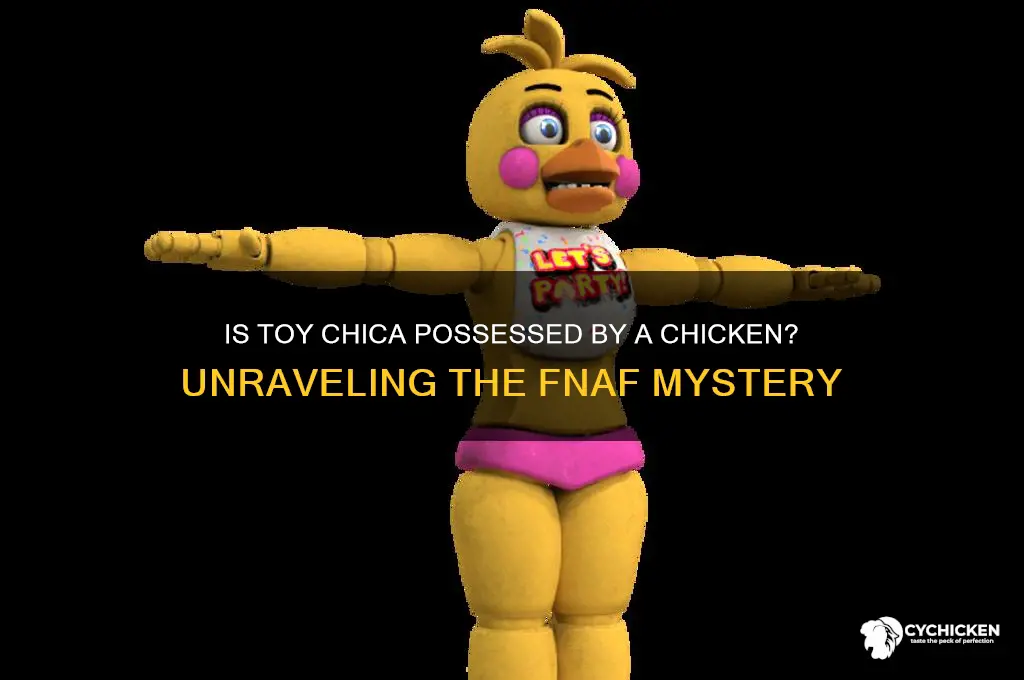 is toy chica possed by a chicken