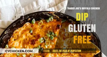 Gluten-Free Trader Joe's Buffalo Chicken Dip: A Healthy Treat?