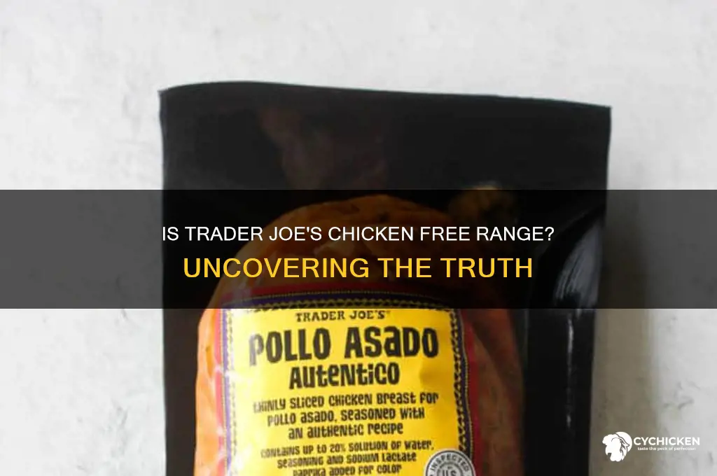 is trader joe