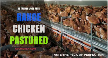 Trader Joe's Free Range Chicken: Pastured or Just Marketing?