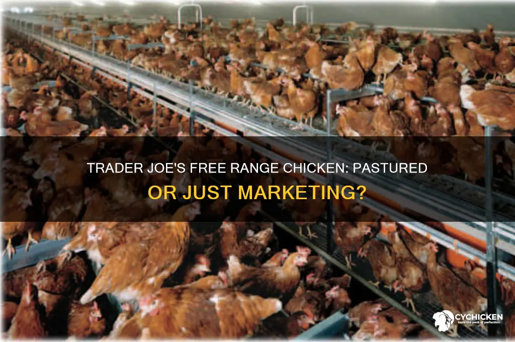 is trader joes free range chicken pastured