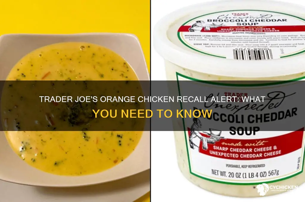 is trader joe