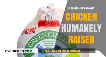 Trader Joe's Organic Chicken: Humane Raising Practices Explained