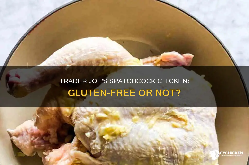 is trader joe