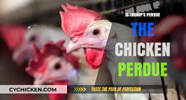 Trump's Perdue Connection: Unraveling the Chicken Brand Confusion
