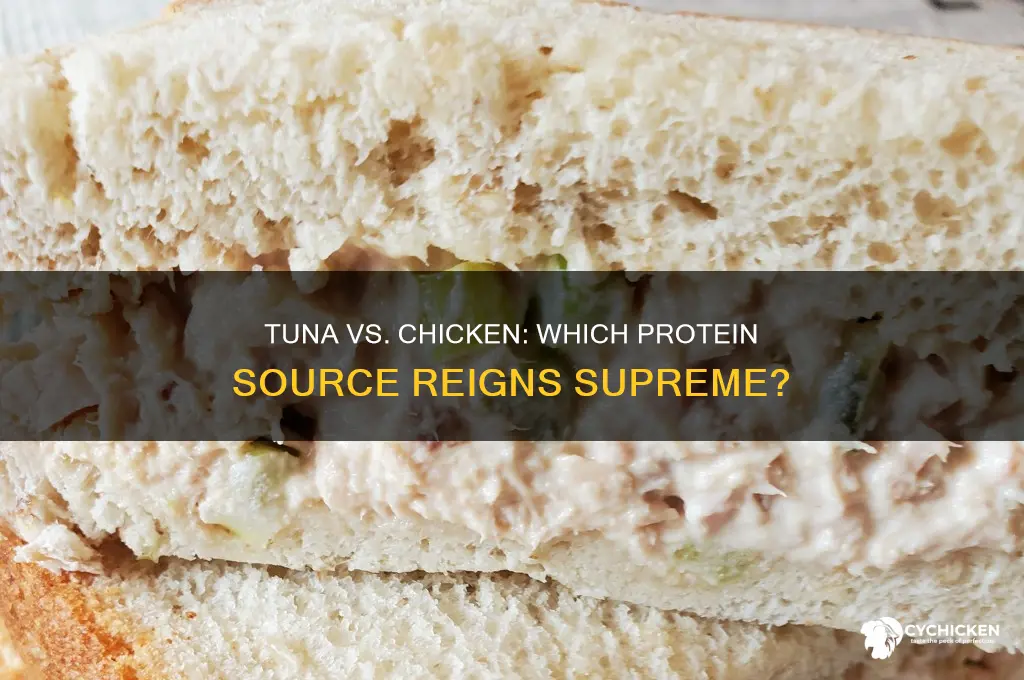 is tuna better than chicken for protein