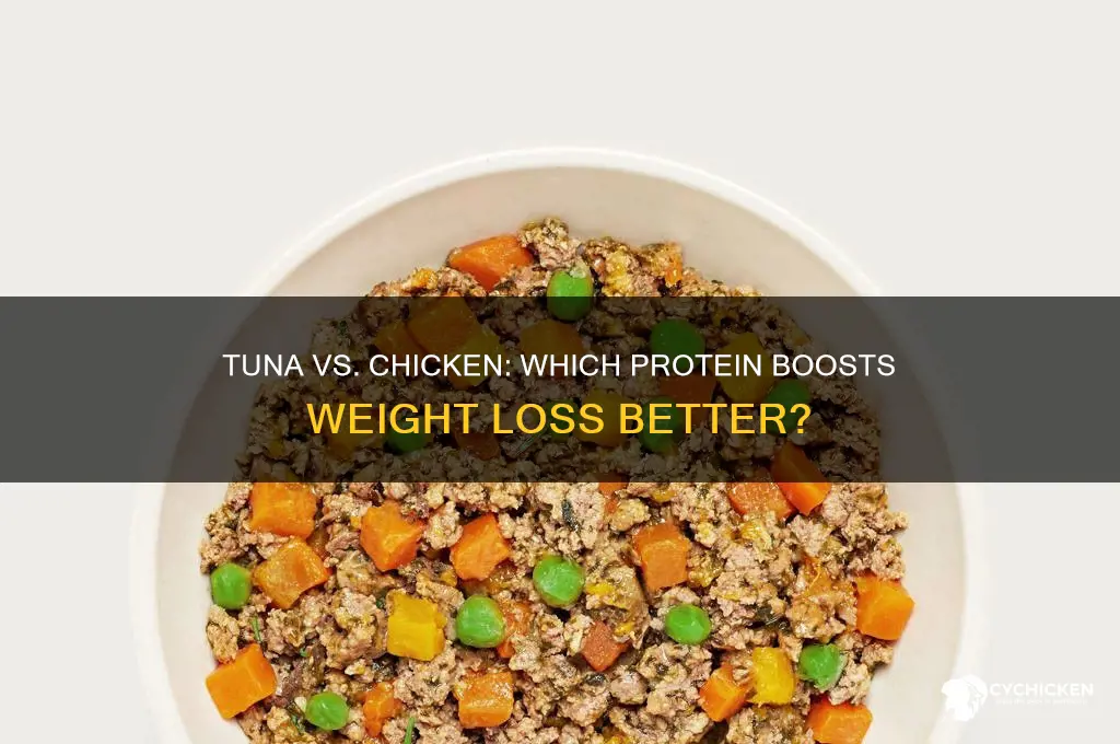 is tuna or chicken better for weight loss
