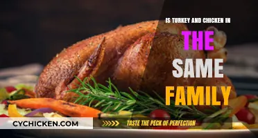 Turkey vs. Chicken: Unraveling Their Family Ties and Differences