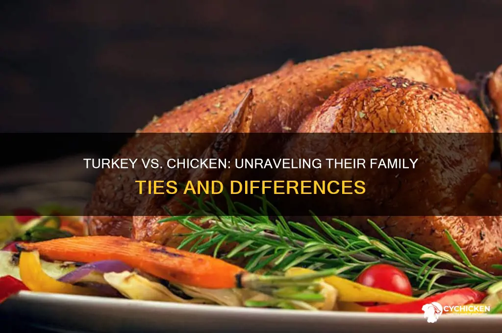 is turkey and chicken in the same family
