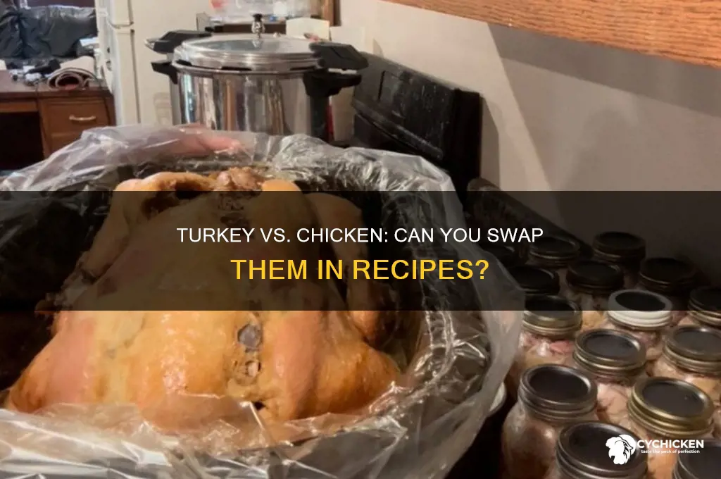 is turkey and chicken interchangeable in recipes