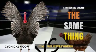 Turkey vs. Chicken: Unraveling the Differences and Similarities