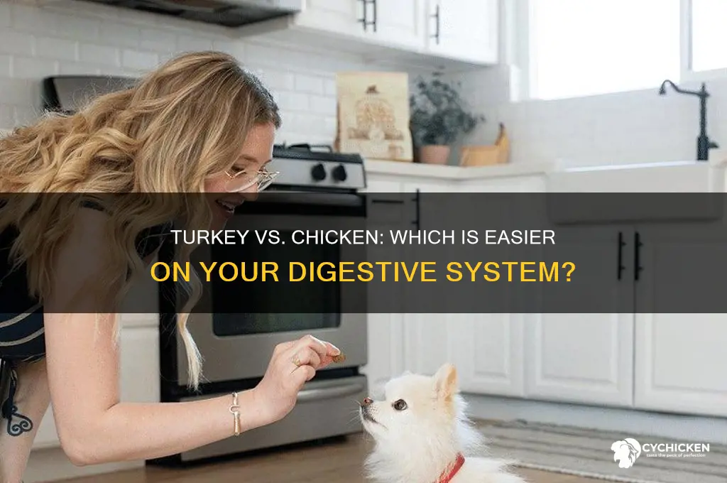is turkey as easy to digest as chicken