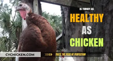 Turkey vs. Chicken: Unraveling the Health Benefits of Each