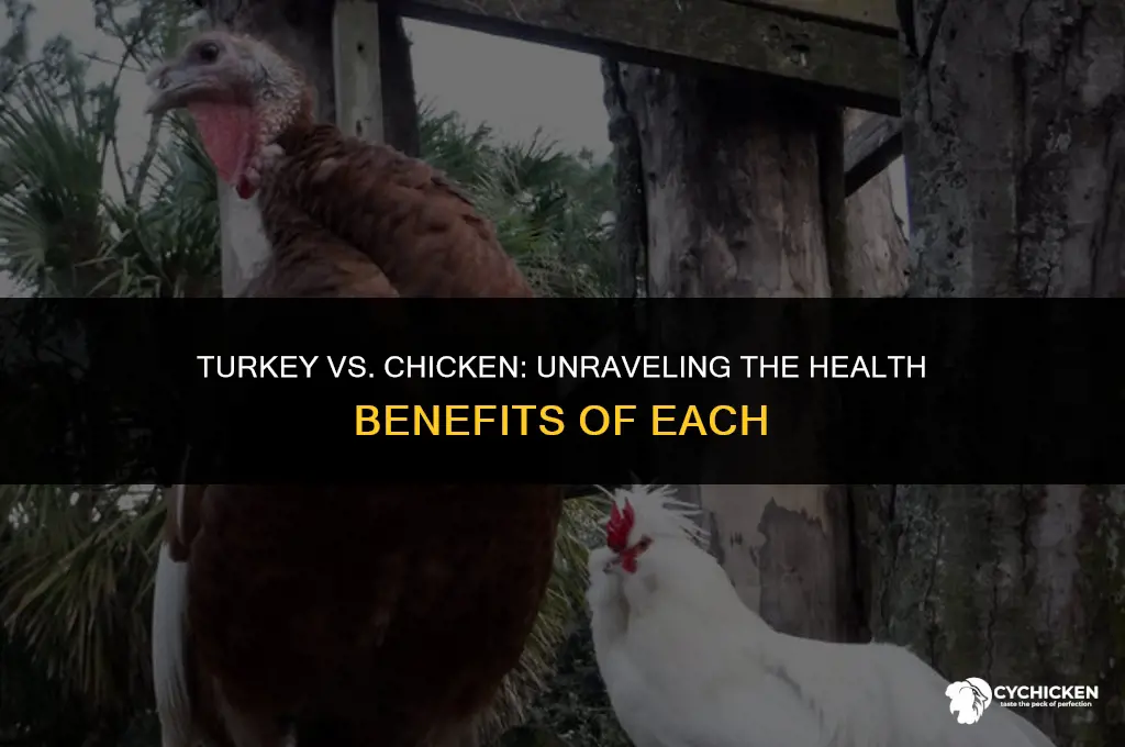 is turkey as healthy as chicken