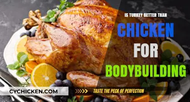 Turkey vs. Chicken: Which Protein Reigns Supreme for Bodybuilding?