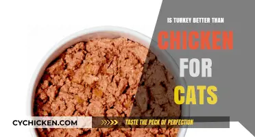 Turkey vs. Chicken: Which Protein Reigns Supreme for Cats?