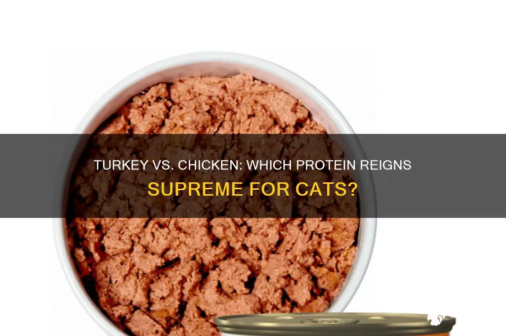 is turkey better than chicken for cats