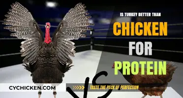 Turkey vs. Chicken: Which Protein Source Reigns Supreme?