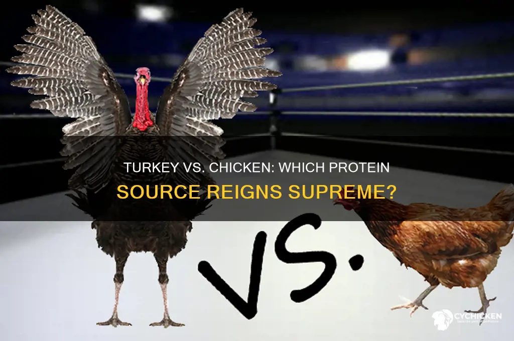 is turkey better than chicken for protein