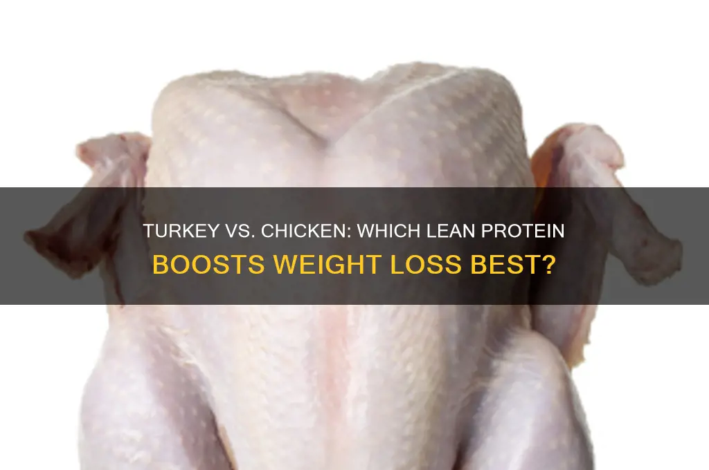 is turkey better than chicken for weight loss