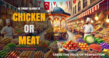 Turkey's Culinary Identity: Closer to Chicken or Red Meat?