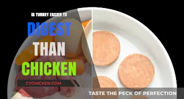 Turkey vs. Chicken: Which Lean Protein Digests Easier for You?