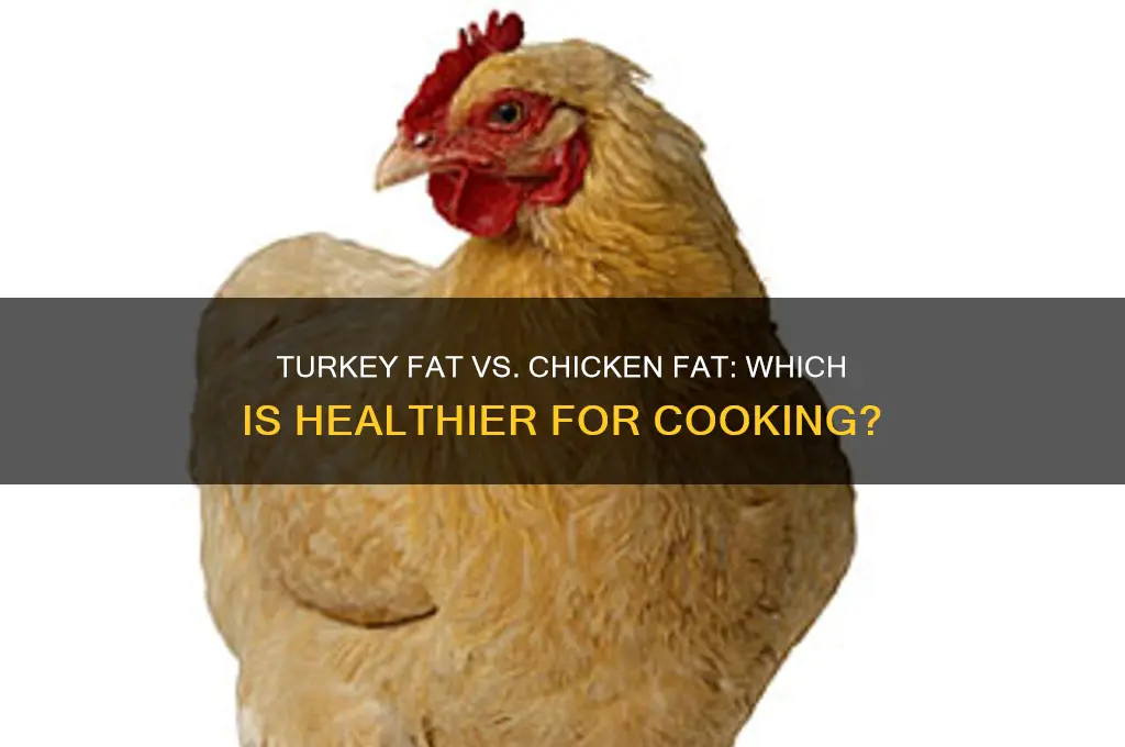 is turkey fat better than chicken fat