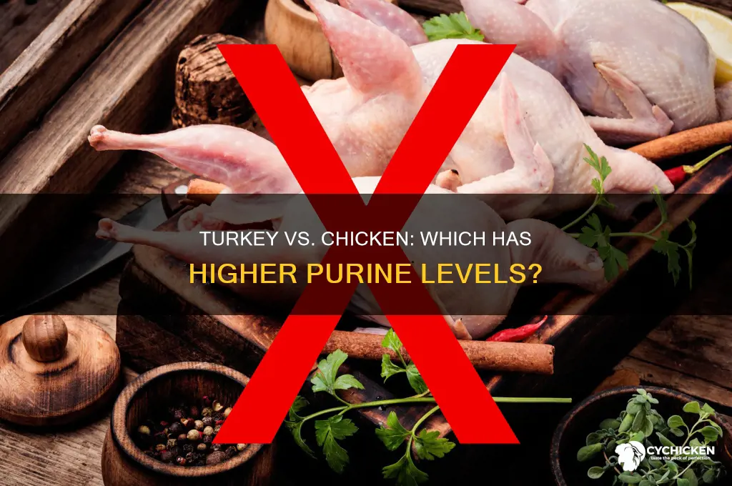 is turkey high in purines than chicken