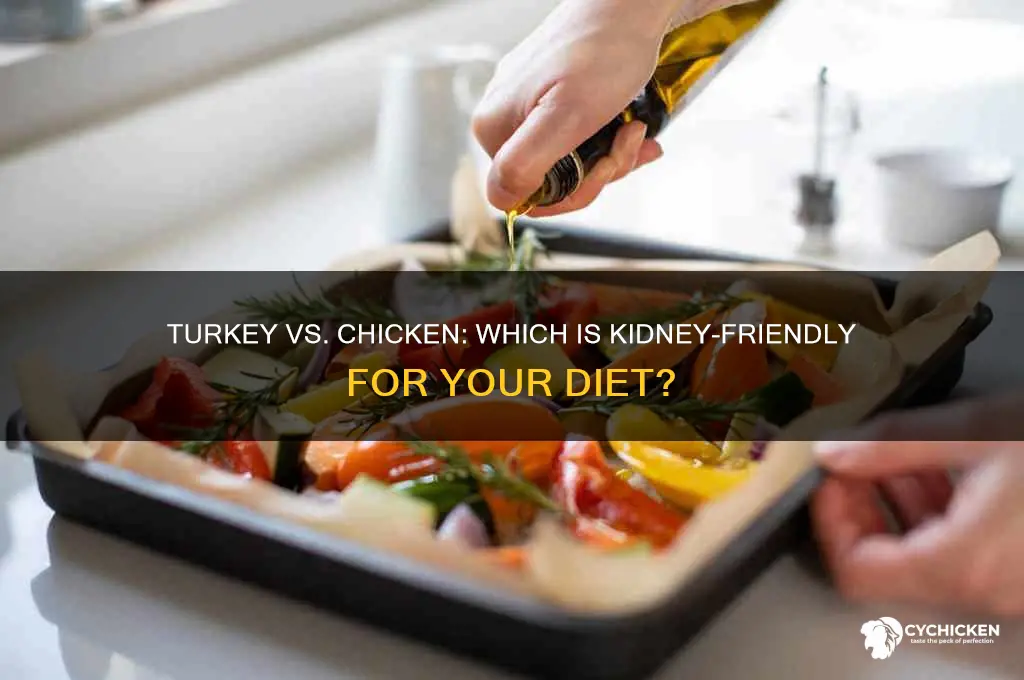 is turkey or chicken better for kidney disease
