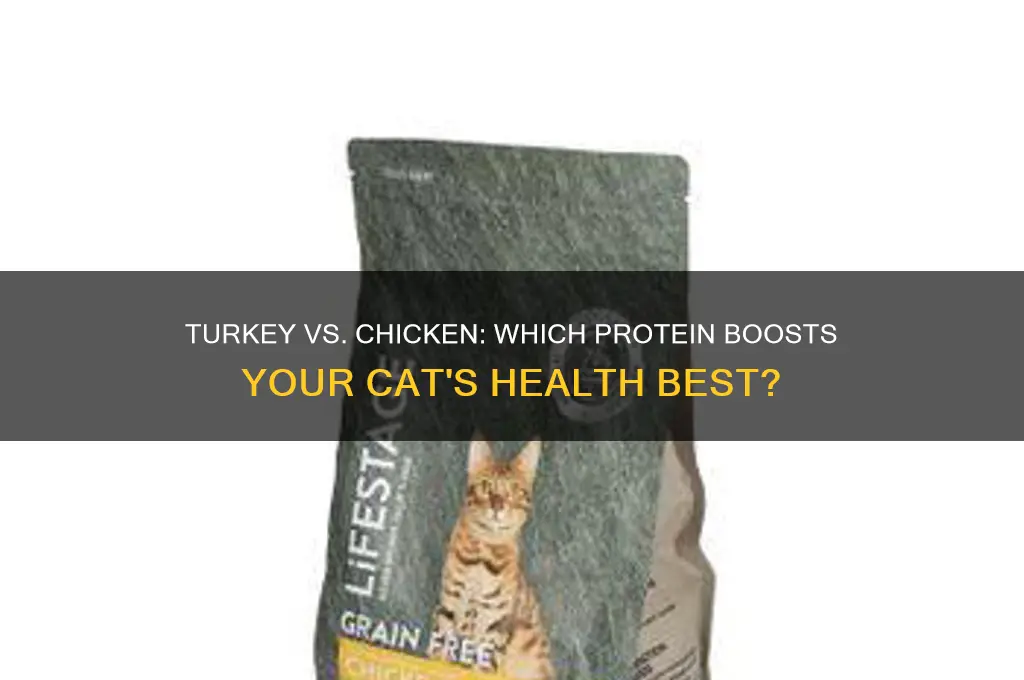is turkey or chicken better for your cat