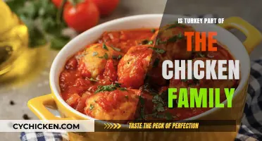Is Turkey Part of the Chicken Family? Unraveling Poultry Myths