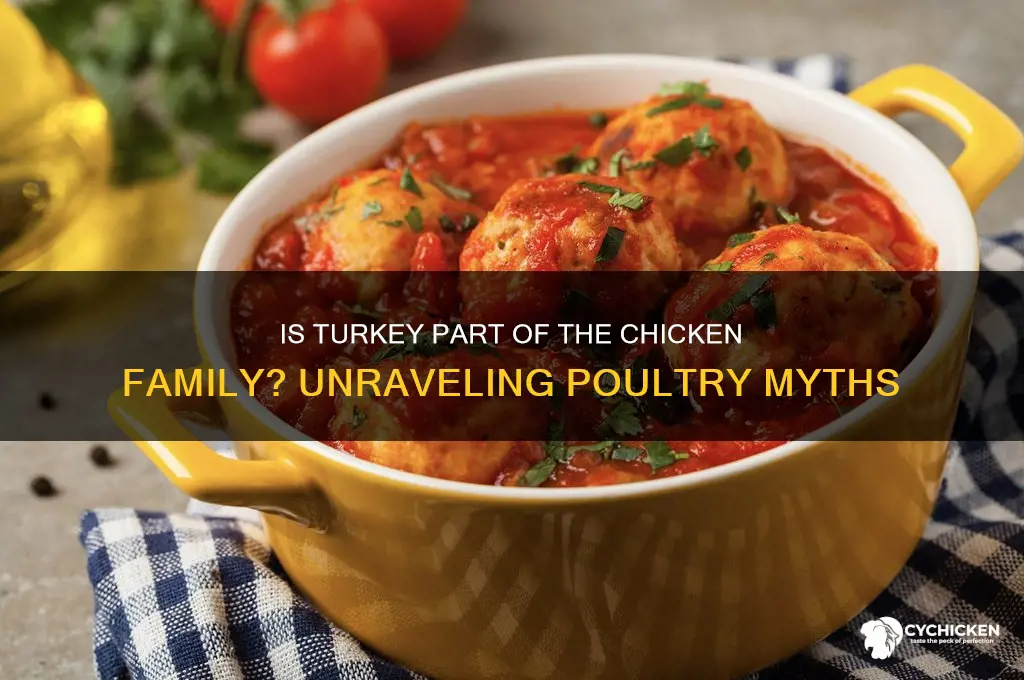 is turkey part of the chicken family
