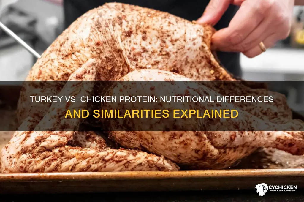 is turkey protein the same as chicken