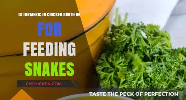 Turmeric-Infused Chicken Broth: A Safe Treat for Snakes?