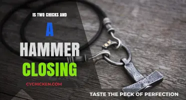 Two Chicks and a Hammer: Debunking Closure Rumors and Future Plans