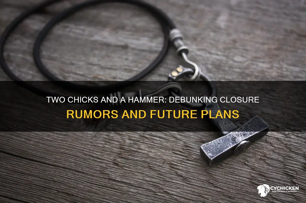 is two chicks and a hammer closing